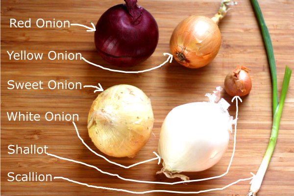 Mega актуальная ссылка onion